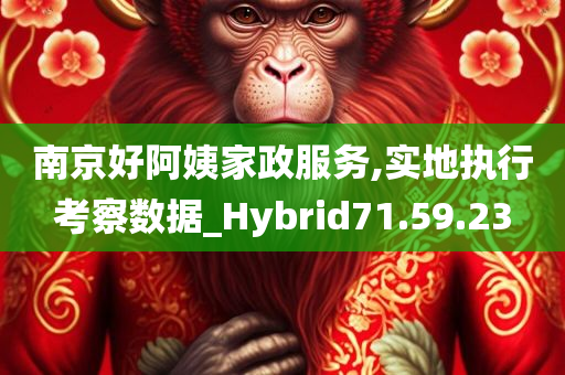 南京好阿姨家政服务,实地执行考察数据_Hybrid71.59.23