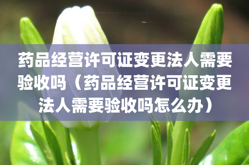 药品经营许可证变更法人需要验收吗（药品经营许可证变更法人需要验收吗怎么办）