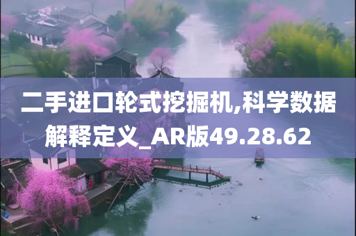 二手进口轮式挖掘机,科学数据解释定义_AR版49.28.62