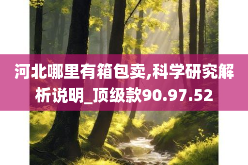 河北哪里有箱包卖,科学研究解析说明_顶级款90.97.52