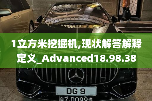 1立方米挖掘机,现状解答解释定义_Advanced18.98.38