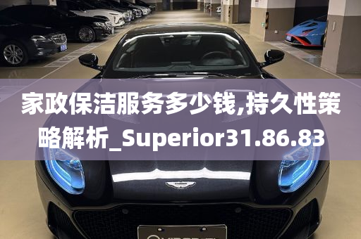 家政保洁服务多少钱,持久性策略解析_Superior31.86.83