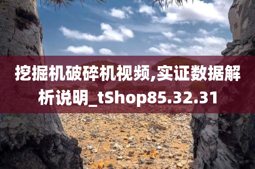 挖掘机破碎机视频,实证数据解析说明_tShop85.32.31