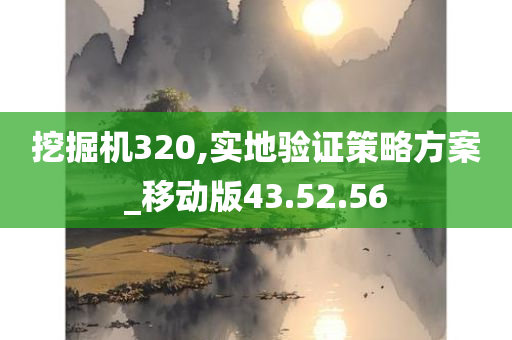 挖掘机320,实地验证策略方案_移动版43.52.56