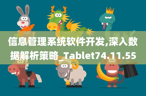 信息管理系统软件开发,深入数据解析策略_Tablet74.11.55