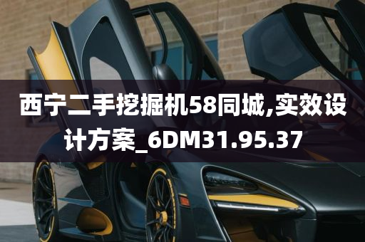 西宁二手挖掘机58同城,实效设计方案_6DM31.95.37