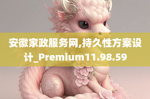 安徽家政服务网,持久性方案设计_Premium11.98.59