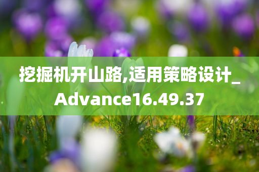 挖掘机开山路,适用策略设计_Advance16.49.37