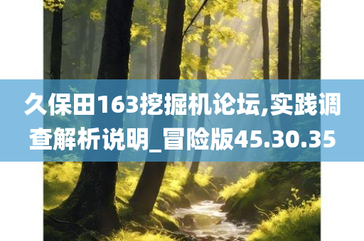 久保田163挖掘机论坛,实践调查解析说明_冒险版45.30.35