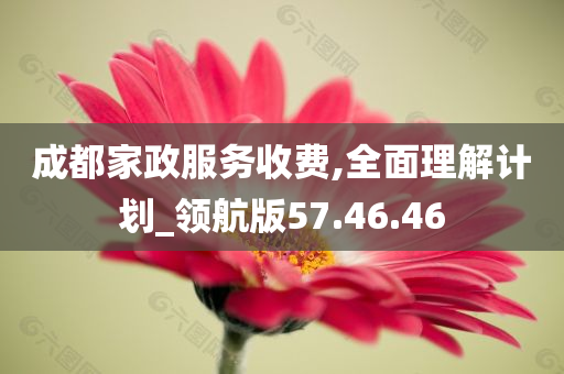 成都家政服务收费,全面理解计划_领航版57.46.46