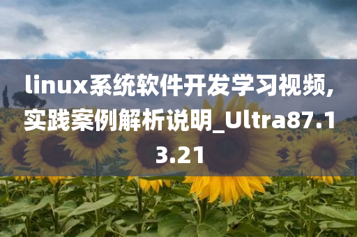 linux系统软件开发学习视频,实践案例解析说明_Ultra87.13.21