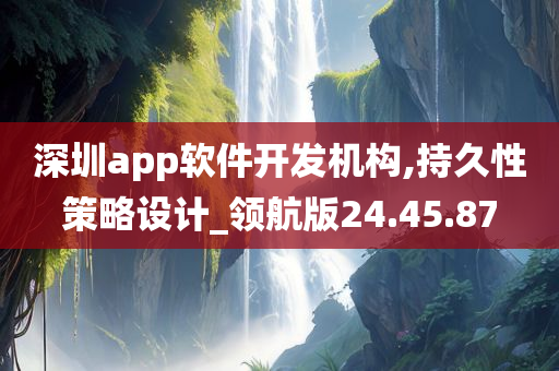 深圳app软件开发机构,持久性策略设计_领航版24.45.87