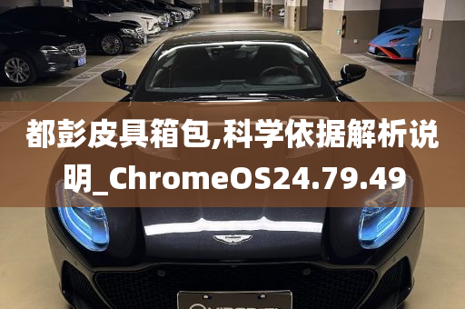 都彭皮具箱包,科学依据解析说明_ChromeOS24.79.49