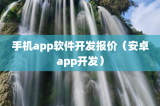 手机app软件开发报价（安卓app开发）