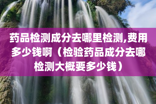 药品检测成分去哪里检测,费用多少钱啊（检验药品成分去哪检测大概要多少钱）