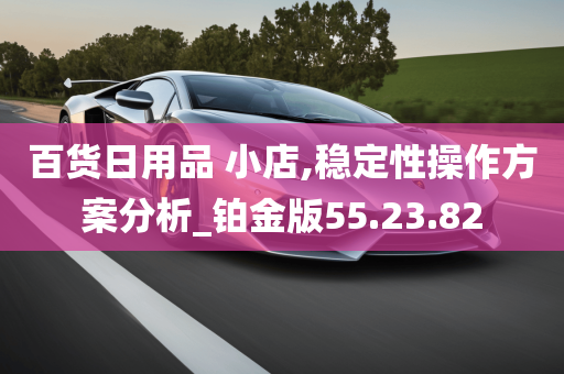 百货日用品 小店,稳定性操作方案分析_铂金版55.23.82