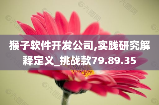 猴子软件开发公司,实践研究解释定义_挑战款79.89.35