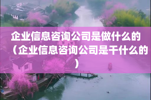 企业信息咨询公司是做什么的（企业信息咨询公司是干什么的）