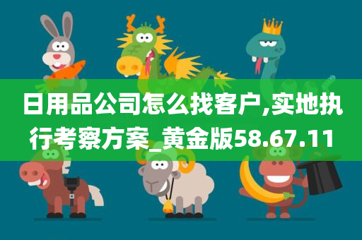 日用品公司怎么找客户,实地执行考察方案_黄金版58.67.11