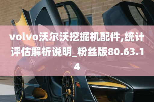 volvo沃尔沃挖掘机配件,统计评估解析说明_粉丝版80.63.14