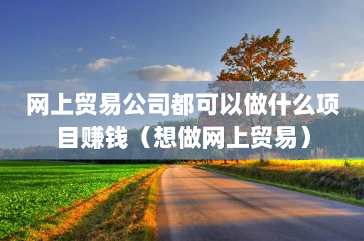 网上贸易公司都可以做什么项目赚钱（想做网上贸易）