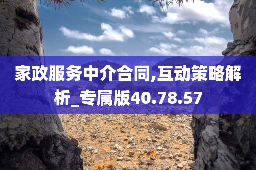 家政服务中介合同,互动策略解析_专属版40.78.57