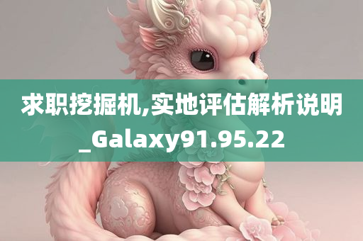 求职挖掘机,实地评估解析说明_Galaxy91.95.22