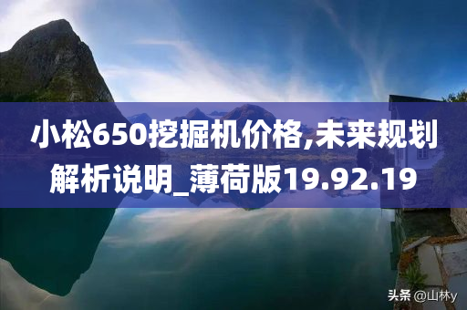 小松650挖掘机价格,未来规划解析说明_薄荷版19.92.19