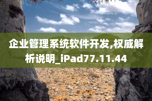 企业管理系统软件开发,权威解析说明_iPad77.11.44