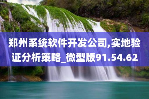 郑州系统软件开发公司,实地验证分析策略_微型版91.54.62