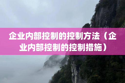 企业内部控制的控制方法（企业内部控制的控制措施）