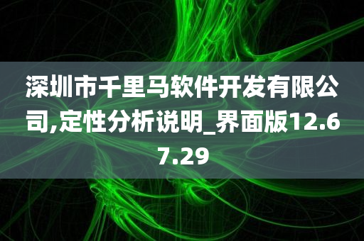 深圳市千里马软件开发有限公司,定性分析说明_界面版12.67.29