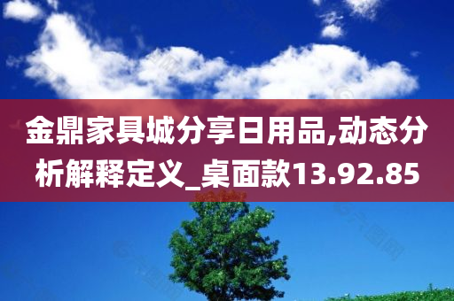 金鼎家具城分享日用品,动态分析解释定义_桌面款13.92.85