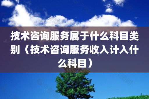 技术咨询服务属于什么科目类别（技术咨询服务收入计入什么科目）