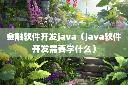 金融软件开发java（java软件开发需要学什么）