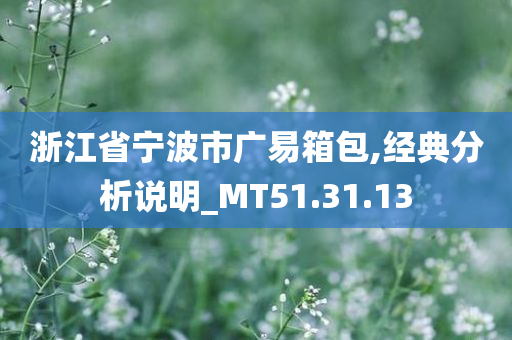 浙江省宁波市广易箱包,经典分析说明_MT51.31.13