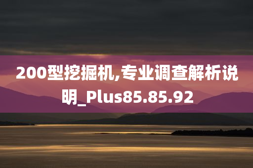 200型挖掘机,专业调查解析说明_Plus85.85.92