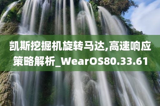 凯斯挖掘机旋转马达,高速响应策略解析_WearOS80.33.61