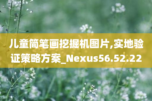 儿童简笔画挖掘机图片,实地验证策略方案_Nexus56.52.22