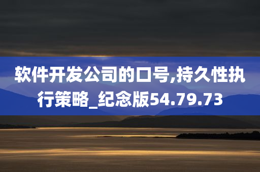 软件开发公司的口号,持久性执行策略_纪念版54.79.73