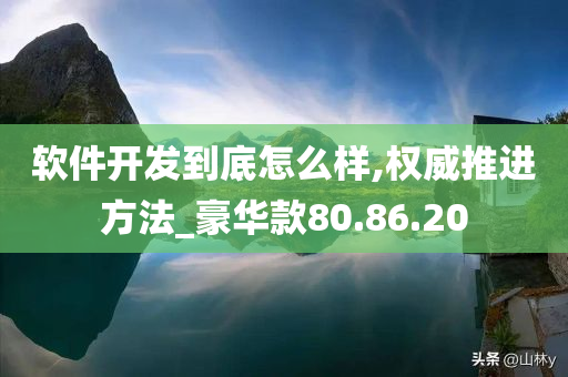 软件开发到底怎么样,权威推进方法_豪华款80.86.20