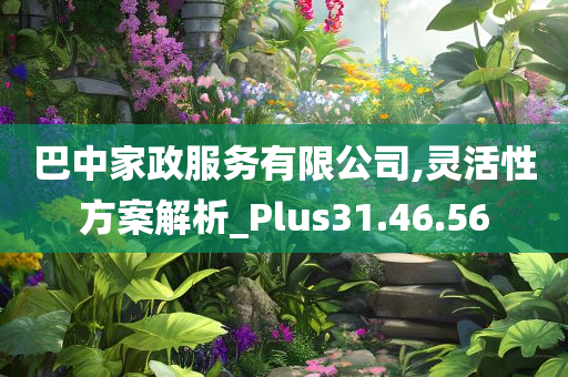 巴中家政服务有限公司,灵活性方案解析_Plus31.46.56