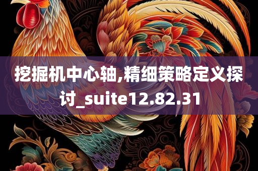 挖掘机中心轴,精细策略定义探讨_suite12.82.31