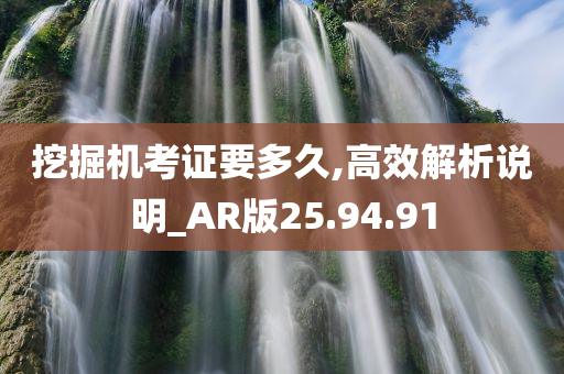 挖掘机考证要多久,高效解析说明_AR版25.94.91