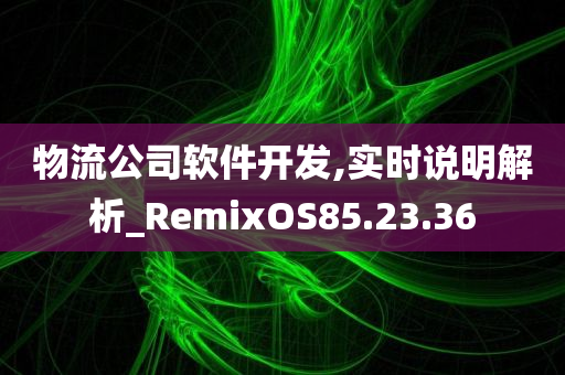 物流公司软件开发,实时说明解析_RemixOS85.23.36