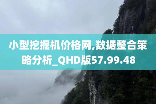 小型挖掘机价格网,数据整合策略分析_QHD版57.99.48