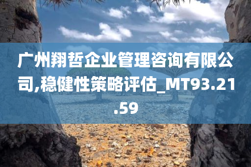 广州翔哲企业管理咨询有限公司,稳健性策略评估_MT93.21.59