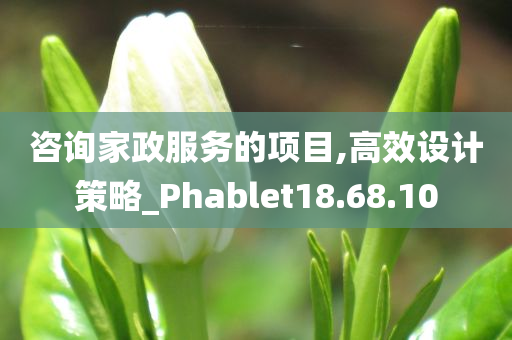 咨询家政服务的项目,高效设计策略_Phablet18.68.10