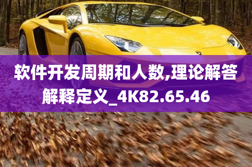 软件开发周期和人数,理论解答解释定义_4K82.65.46