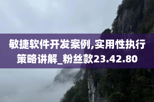 敏捷软件开发案例,实用性执行策略讲解_粉丝款23.42.80